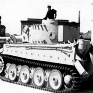 Tiger-i-1