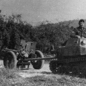 Italian L3 tankette, German use, WW2