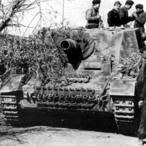Panzertruppen-of-fallschirmjger-panzer-division-hermann-gring-1_8321770992_o