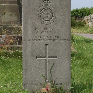 Albert COLLIS