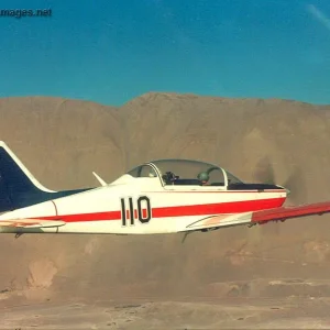 T-35 Pillan - Chilean Air Force