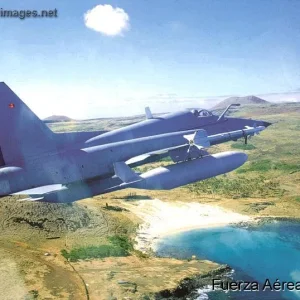 F-5 Tigre III - Chilean Air Force