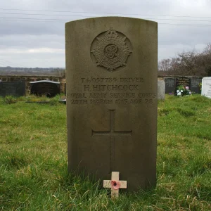 Henry  HITCHCOCK