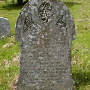 Burton DAVIS