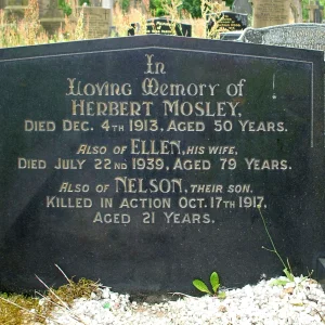 Nelson MOSLEY