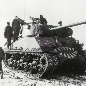 2743022