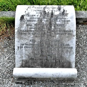 William Henry  DAVIES