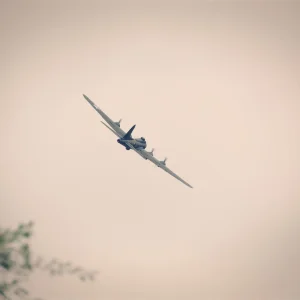 DSCN7889