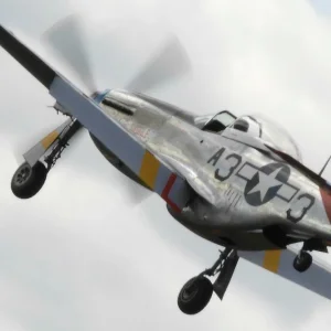 P 51 Side
