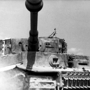 Tiger 1