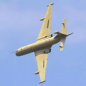 Nimrod_-_RIAT_2006_(2424167612)