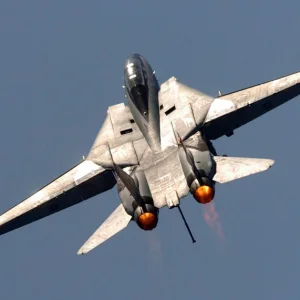 Grumman-f14-tomcat_3