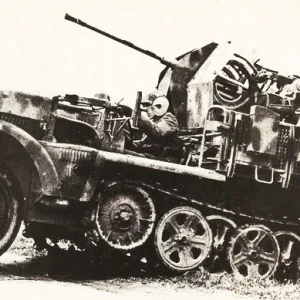 2743768