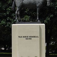War Horse 2