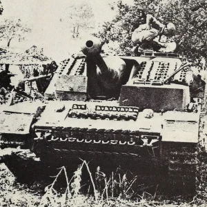 2743618