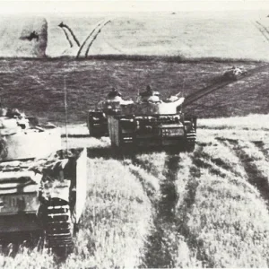 27434056-1