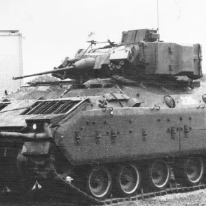 27434006