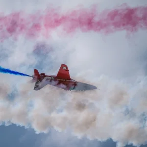 Reds 14