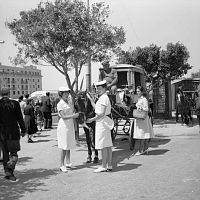 Here's a friendly pat for the horse from two Wrens at Valletta's Kingsgate Bus Station In 1961