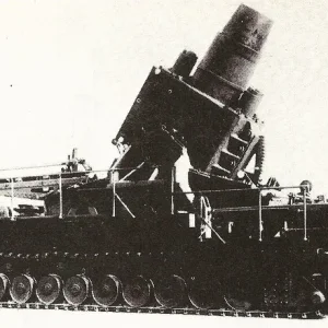 27434309