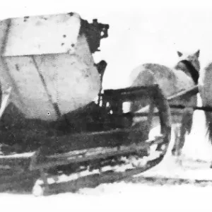 27435752