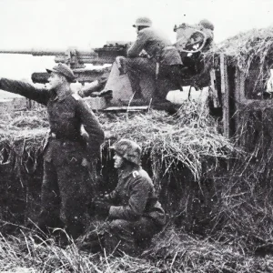 27435750