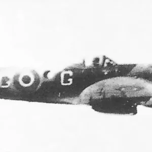 27434500.jpg