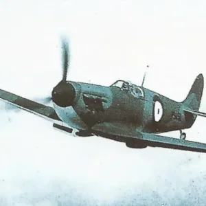 27434525-1.jpg