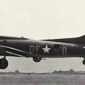 27436325-1.jpg