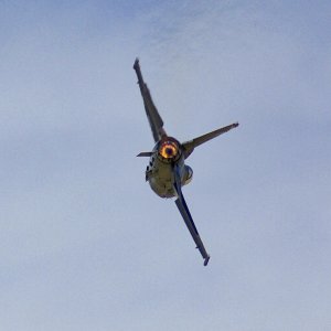 F16.jpeg