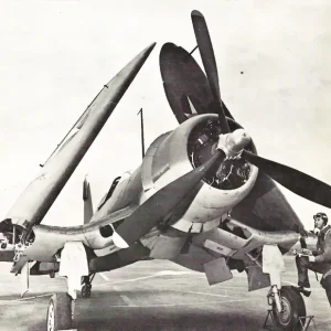 27434985-1.jpg