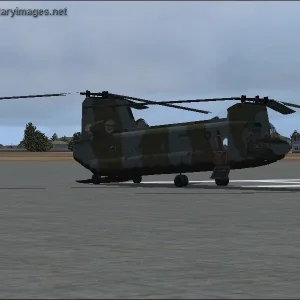 British Chinook