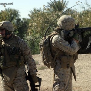 U.S. Marines in the area of Zaidon, Iraq