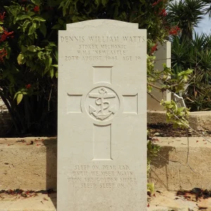 D727  DENNIS WILLIAM WATTS