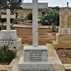 G094 MONTAGUE WESTERN PLUMPTRE