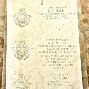 F86 RONALD ROLFE HALL,  ARTHUR CHARLES MOORE,  JOHN ALBERT WEBB