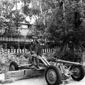 bofors_20110210_1890465960.jpg