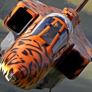 Specially painted Jaguar takes to the skies over RAF Coningsby for a final flight