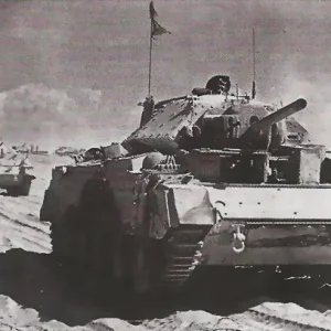 27437576.jpg