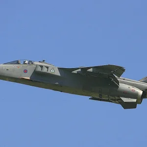 Jaguar_-_RIAT_2005_(2373766588).jpg