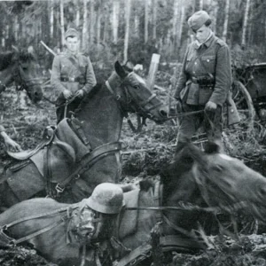 WW2 German images