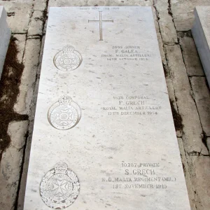 F GALEA,  F GRECH,  S GRECH