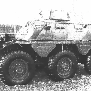 27435981-2.jpg