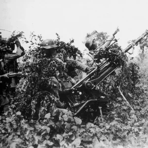 Invasion of China