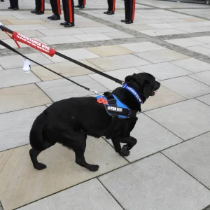 Assistance Dog (Autism Dog)  RTTW 5.10 (2)