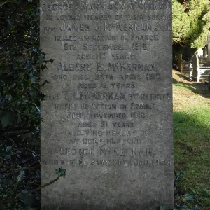 James Johnson McKERNAN,   Thomas Henry McKERNAN