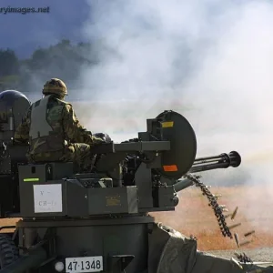 VADS - Japanese Air Self-Defence Force (JASDF)