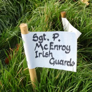 P McENROY
