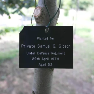 George Samuel  GIBSON