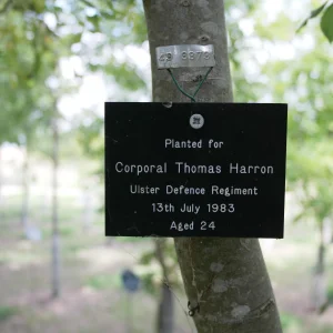Thomas HARRON